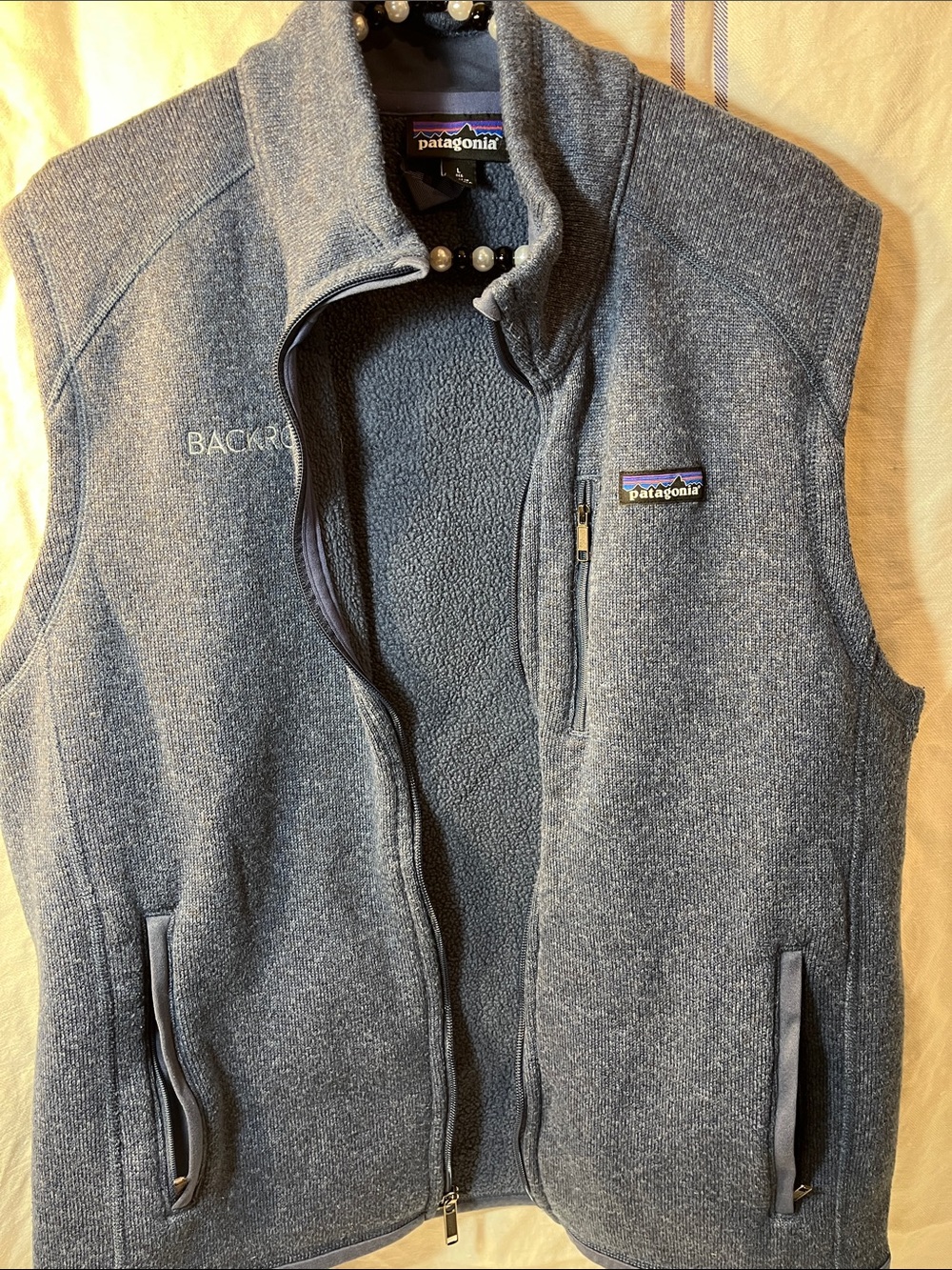 Patagonia Men’s blue Vest